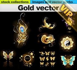 金色的图案：Gold vector